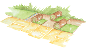 Plantar cesped consejos jardineria