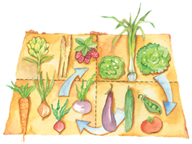 Rotacion cultivos consejos jardineria