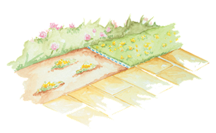 Vivaces cubresuelos jardineria