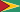 Flag of guyana