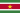 Flag of suriname