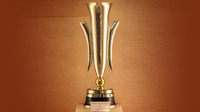 Copa de fires Copa de fires