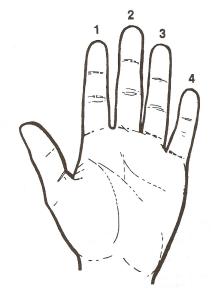 Mano guitarra